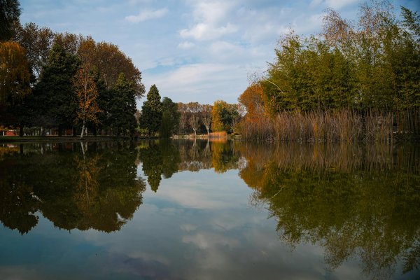 Équipements pour sécuriser votre domicile des chutes de seniors