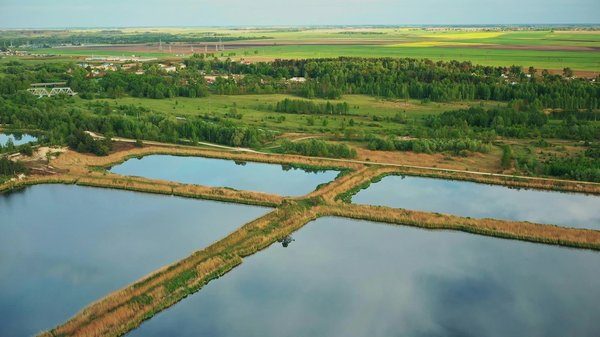 Yoga en entreprise: un remède au stress professionnel